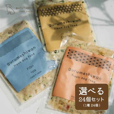 24個セット（選べる1種）【通常購入】